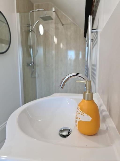 Stylish Georgian Apartment In An Ideal Location North Walsham Eksteriør billede